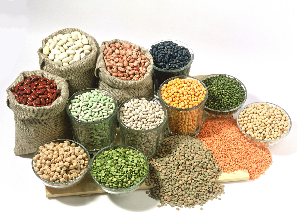 Nourishment in Every Grain