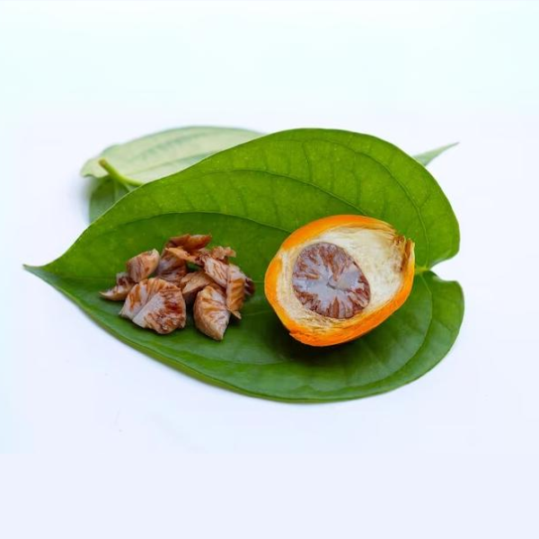 Bettle Nuts
