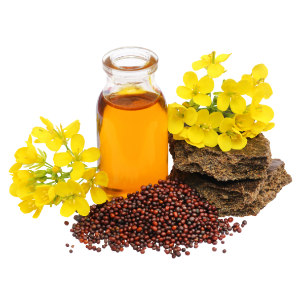 Mustard Seed & Oil